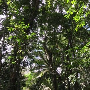 Meet your Posher, Kiera